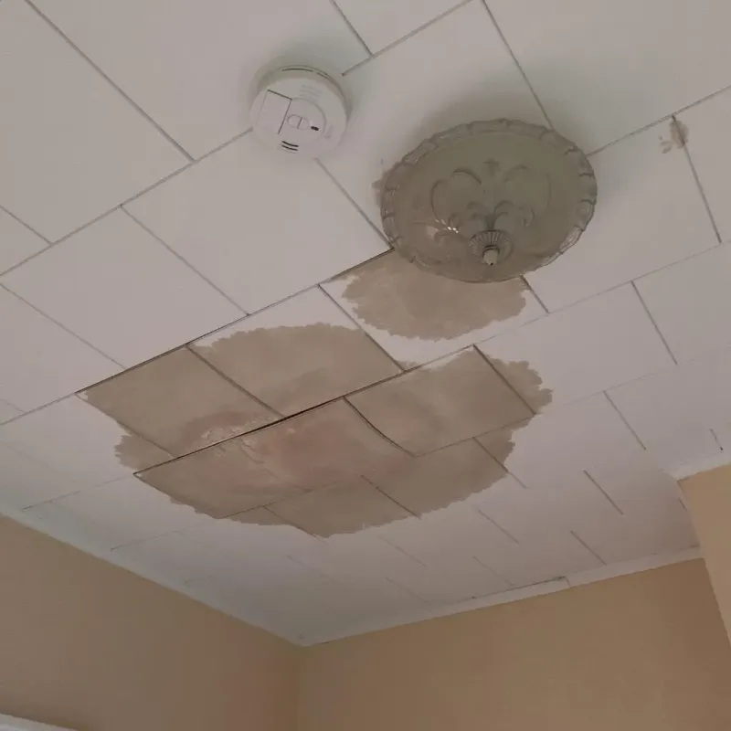 Ceiling Water Damage Repair in Hansford County, TX