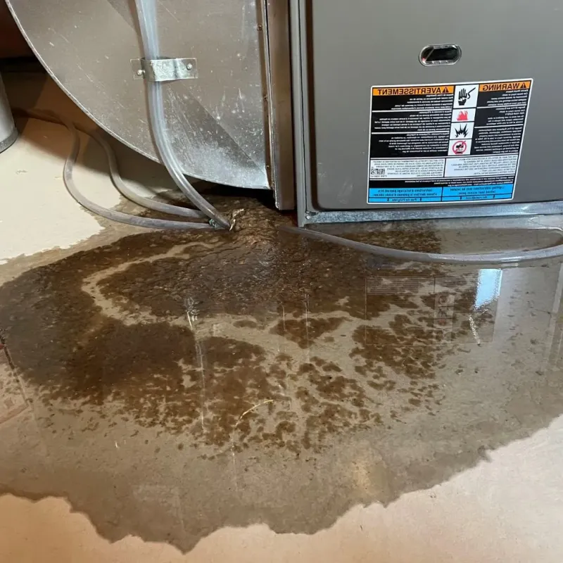 Pipe Burst and Leak Restoration in Hansford County, TX