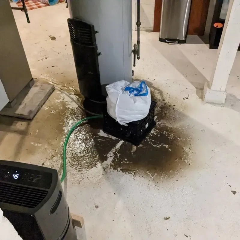 Sewage Backup Cleanup Service in Hansford County, TX